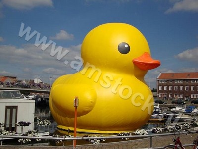 Reuze badeend siert Kanaalkom van Hasselt - inflatable badeend groot